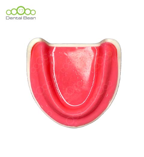 Dental bean Edentulous Model (Only Lower with Gum)