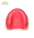 Dental bean Edentulous Model (Only Upper with Gum)