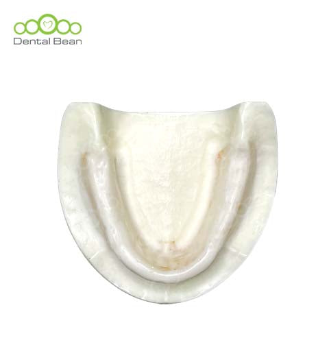 Dental bean Edentulous Model (Only Lower without Gum)