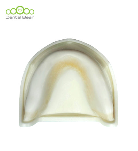 Dental bean Edentulous Model (Only Upper without Gum)