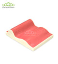 Dental Bean Suture Model